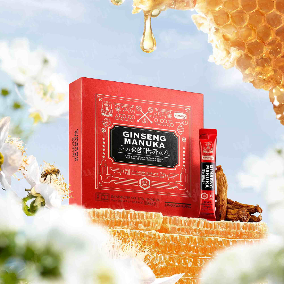 Manuka Ginseng【21袋】 Jung Kwan Jang Ginseng Manuka – WJL