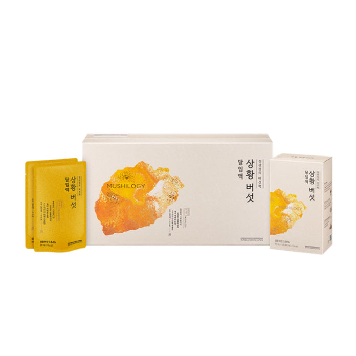 Jung Kwan Jang Sanghuang Mushroom Tonic