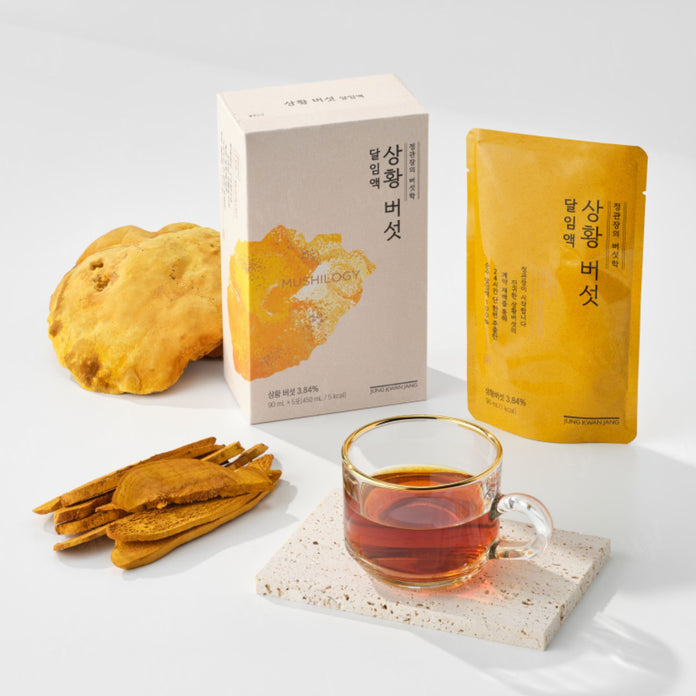Jung Kwan Jang Sanghuang Mushroom Tonic