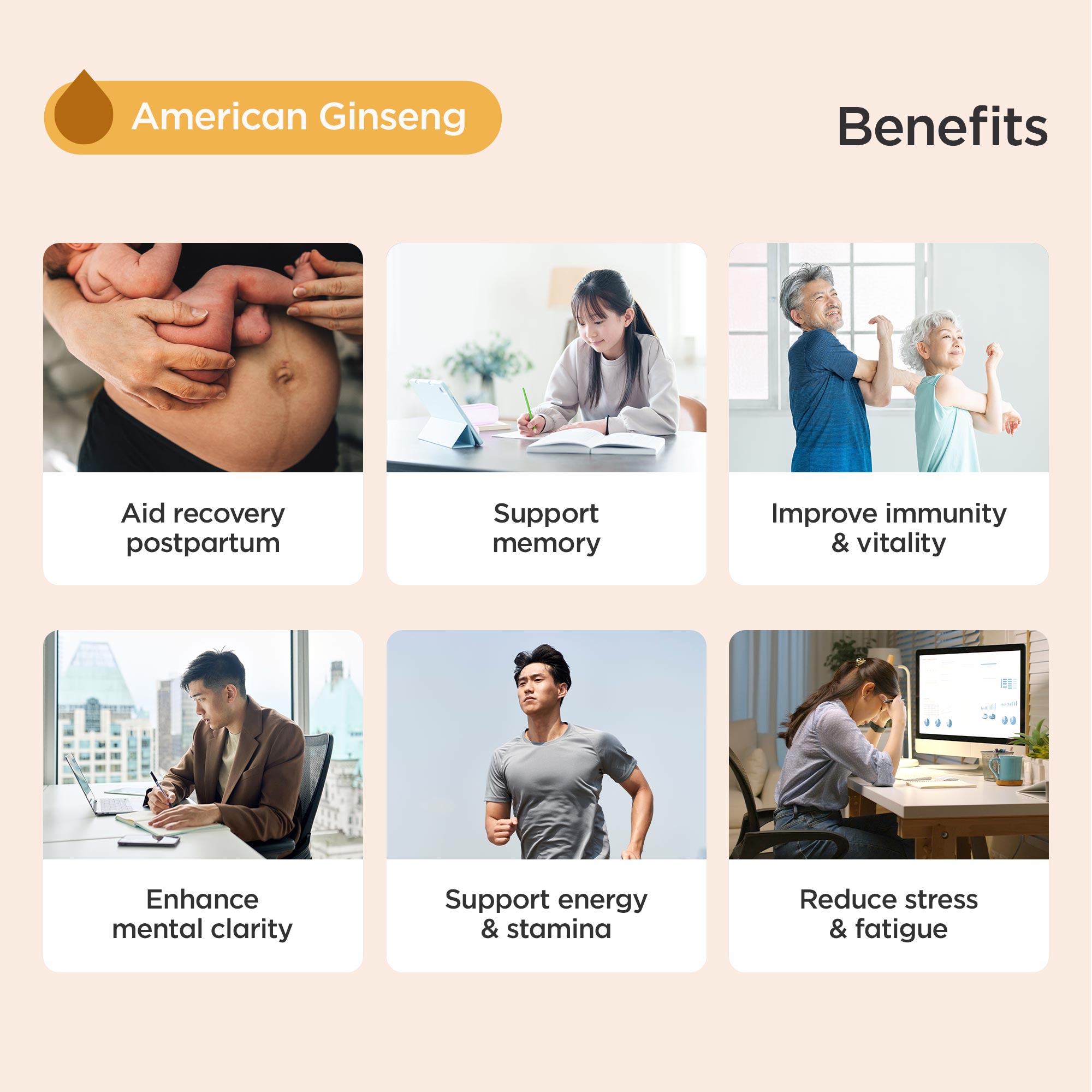 Concentrated Drip Chicken Essence with American Ginseng 西洋参滴鸡精