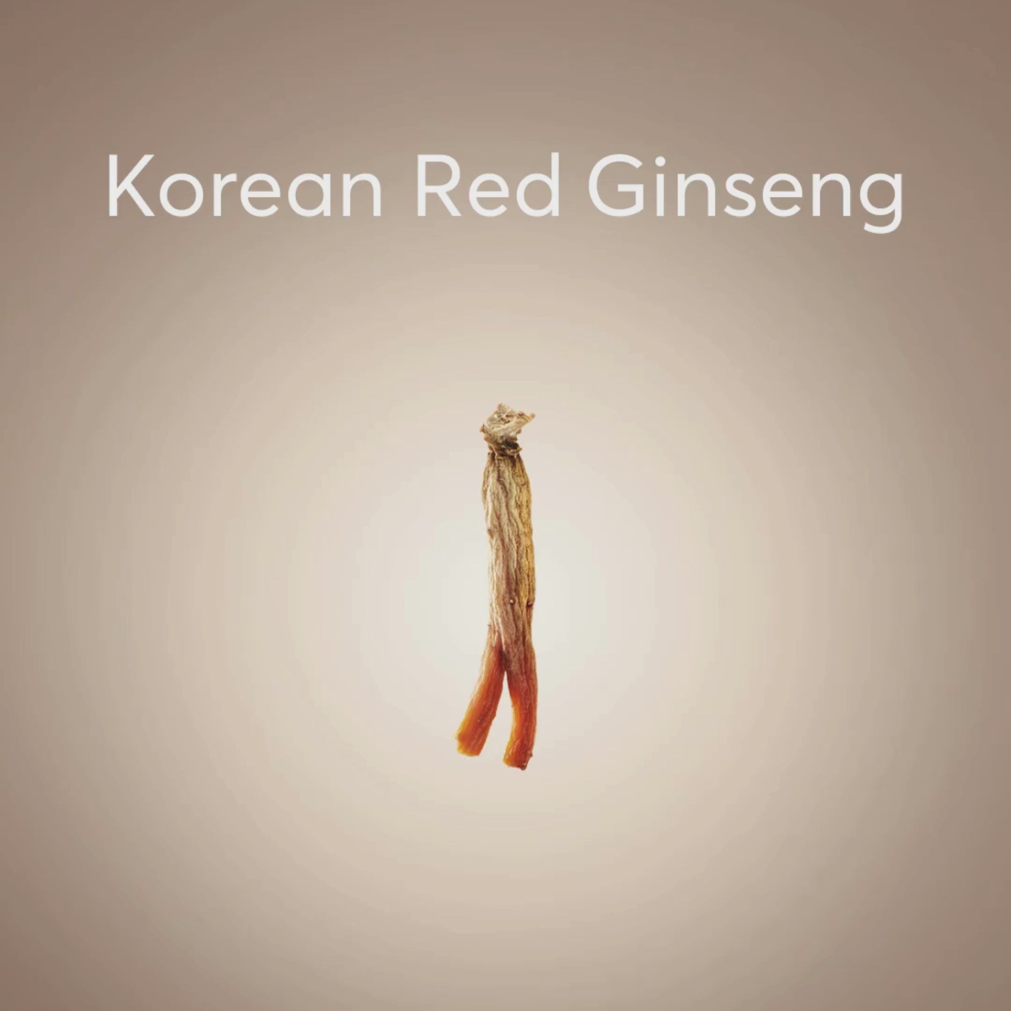 Korean Red Ginseng Extract Everytime 高丽参膏口服液