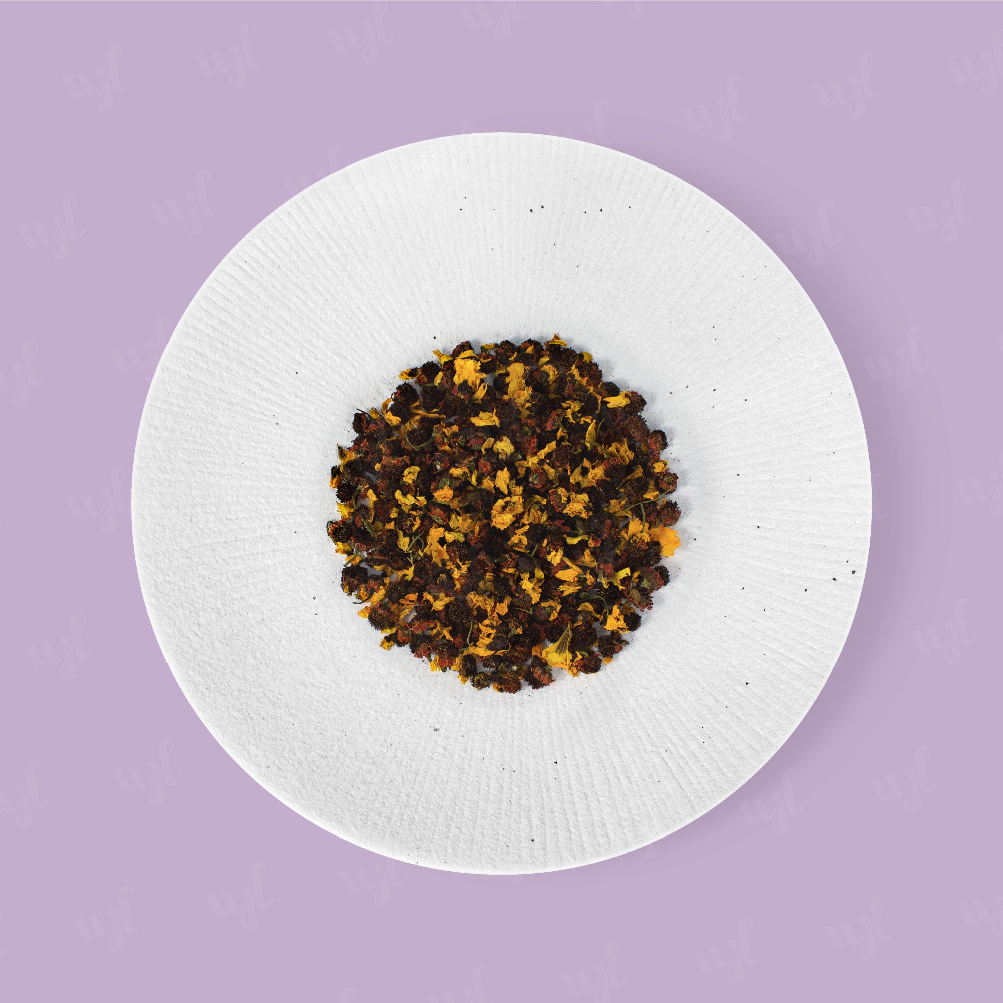 Wing Joo Loong Kunlun Snow Chrysanthemum 昆仑雪菊