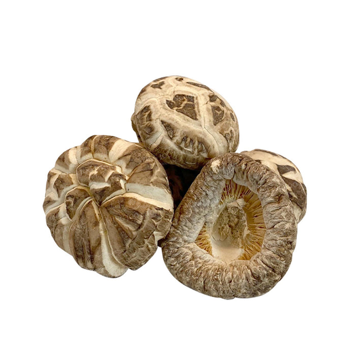 WJL Dried Superior Flower Shiitake Mushrooms 上等仿木白花菇