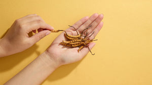 Cordyceps vs Cordyceps Flower: Differences, Benefits & Usage 