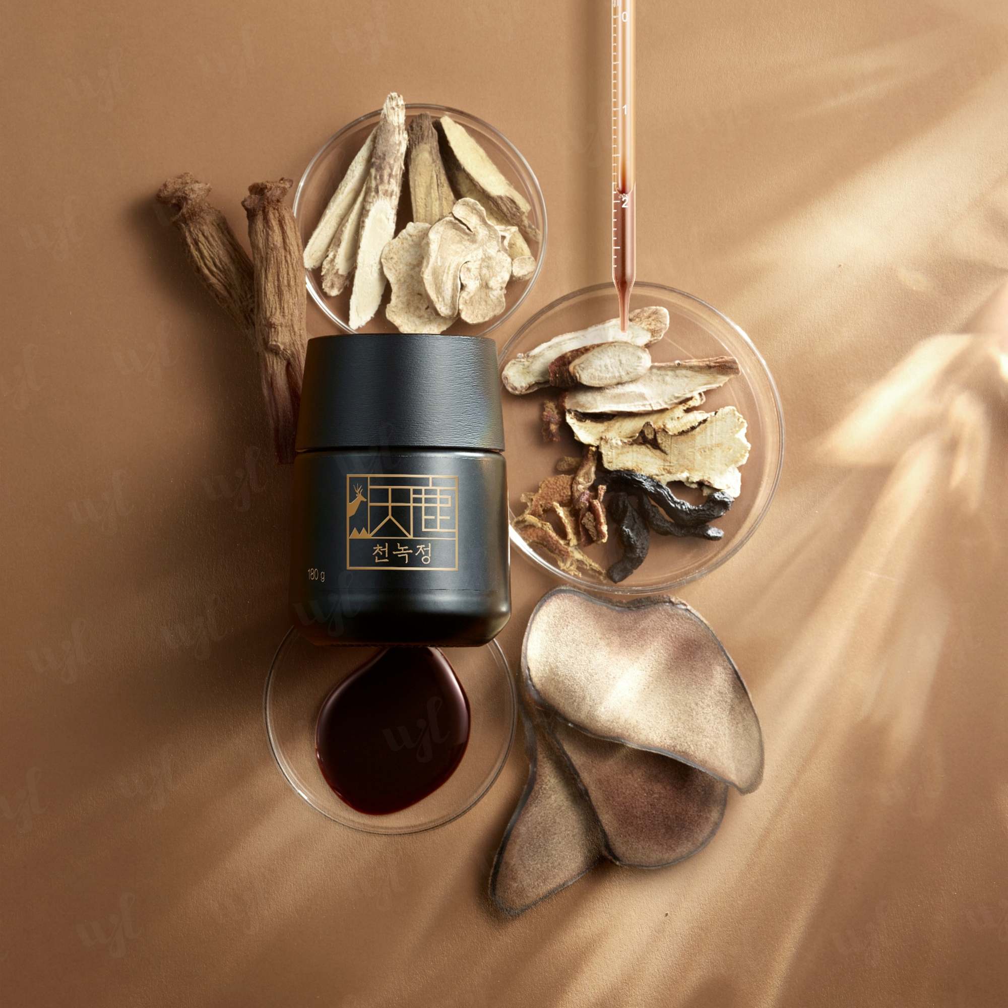 Cheon Nok Extract 高丽参天鹿精