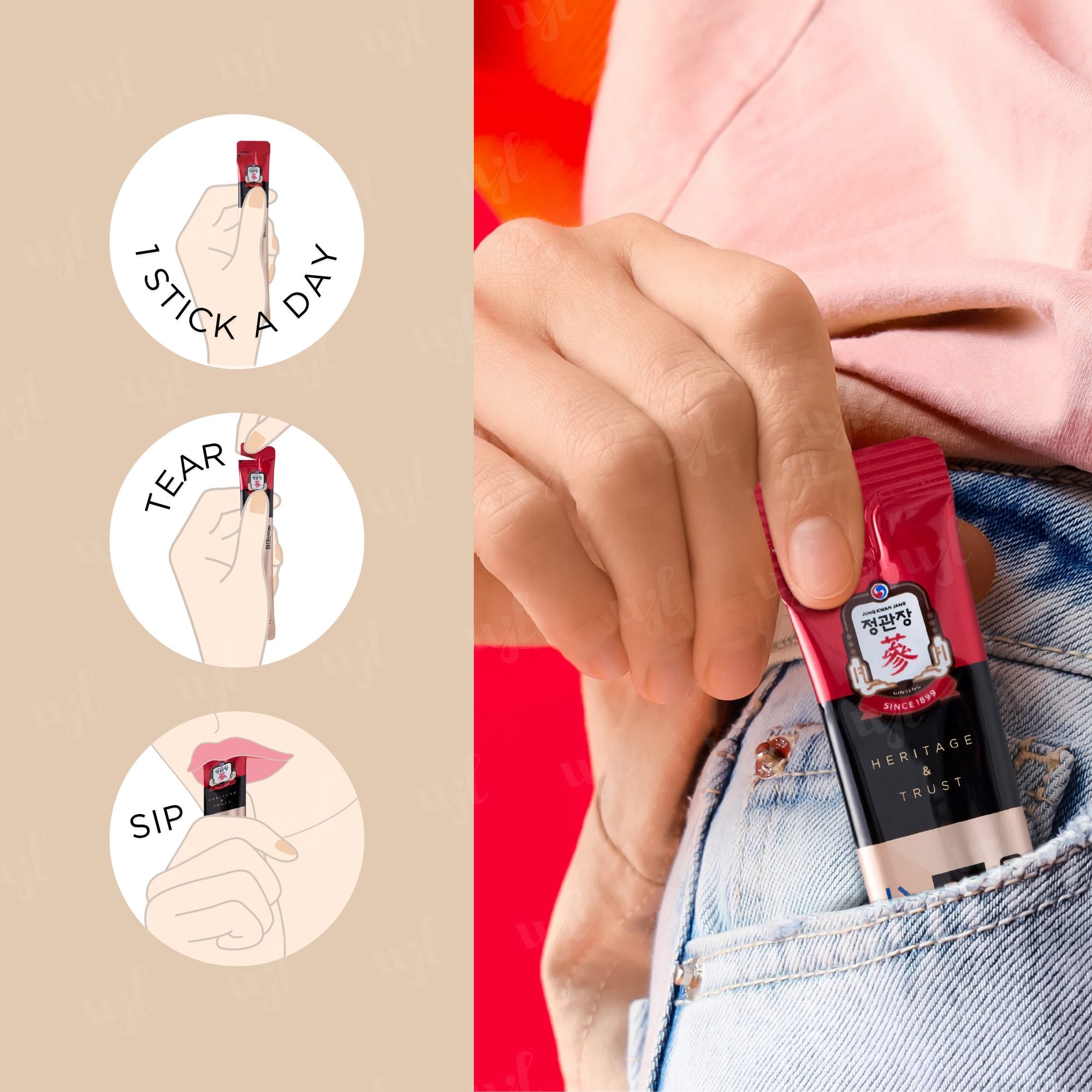 Korean Red Ginseng Extract Everytime Soft 高丽参膏口服液