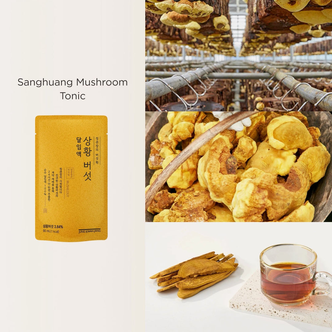 sanghuang mushroom video