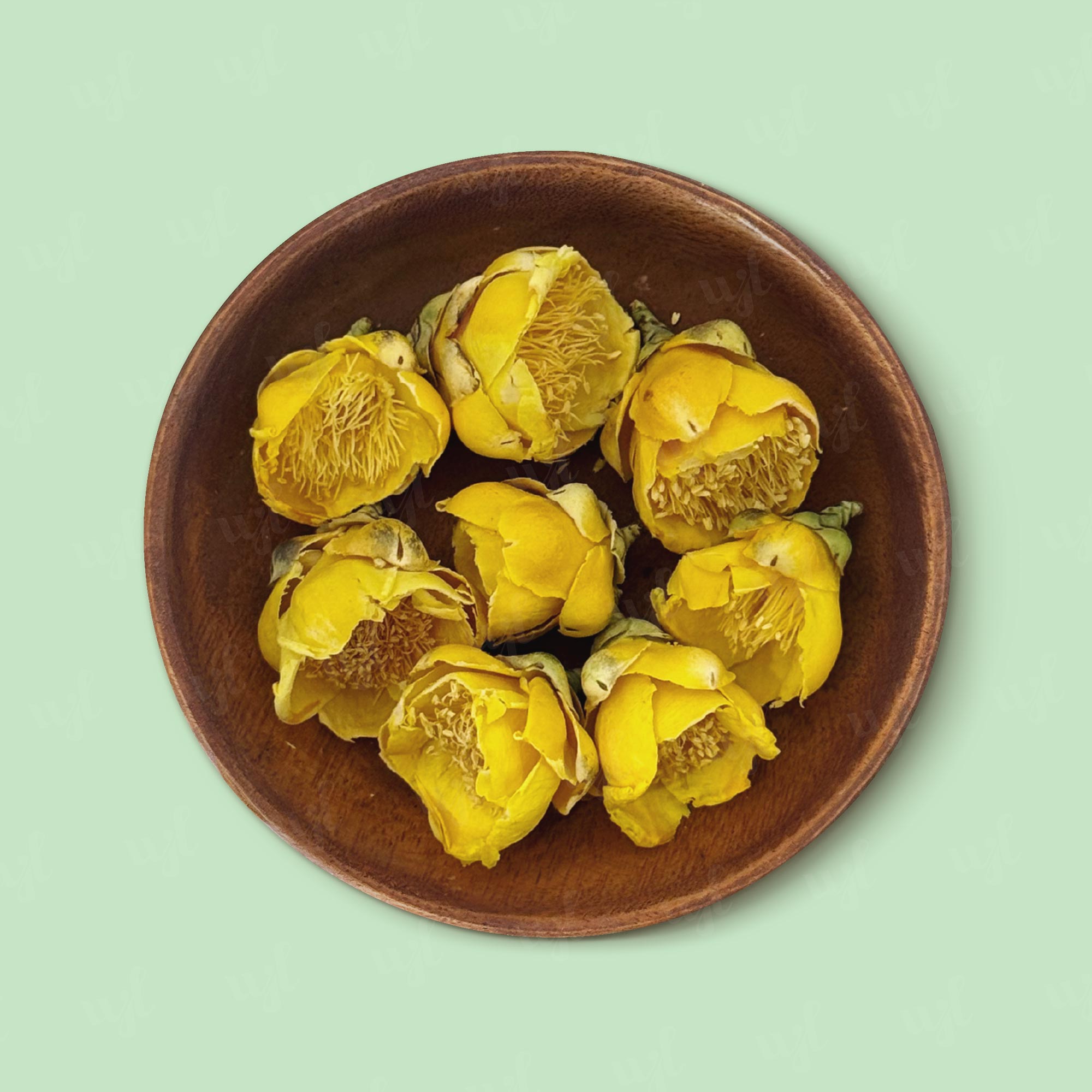Premium Freeze-Dried Golden Camellia Flower – WJL