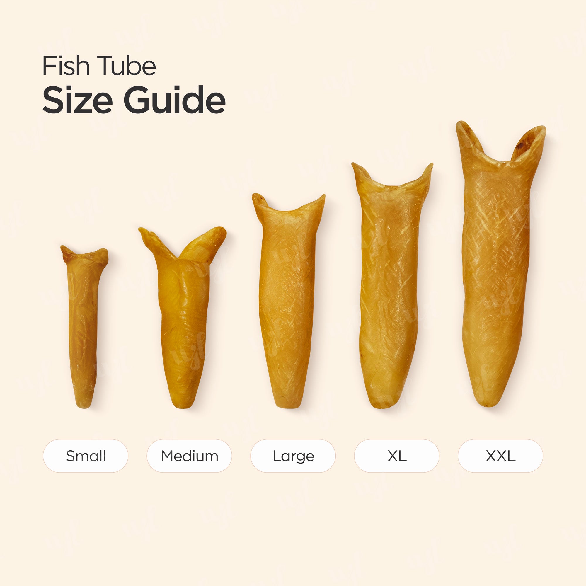 Premium South African Dried Fish Tube 特等南非花胶筒