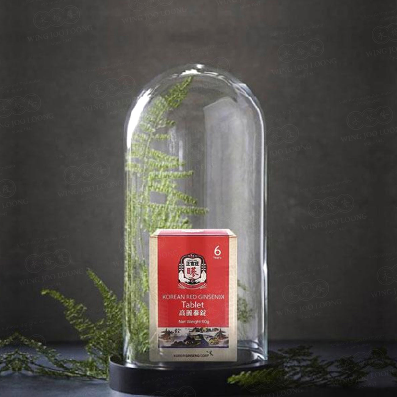 Cheong Kwan Jang Korean Red Ginseng Tablet 高丽参粉锭